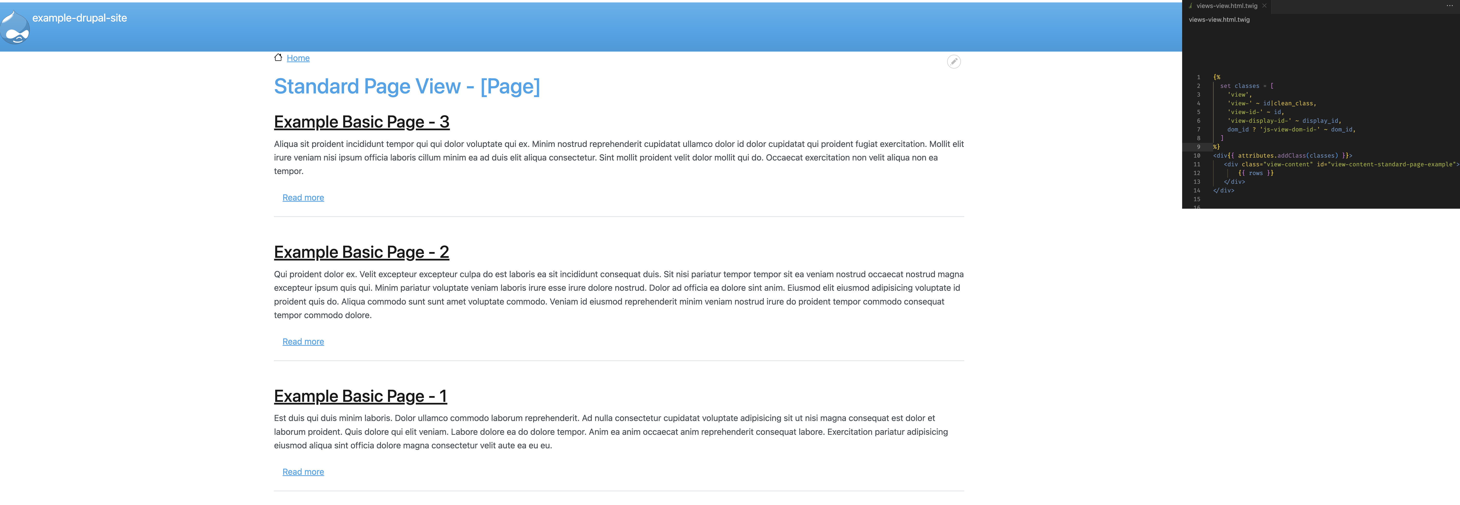 3-render-using-twig-template-outcome