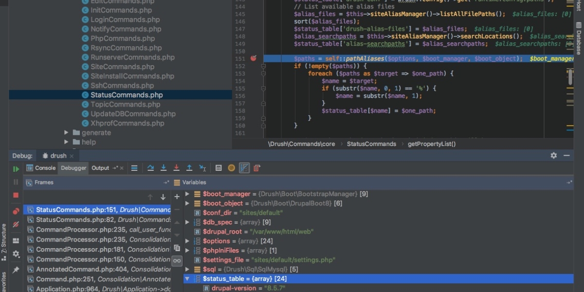 Xdebug over the command line with DDEV
